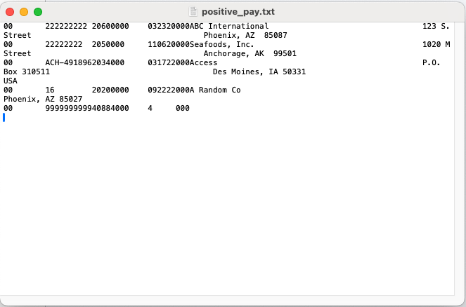 Positive_Pay_layout_example.png