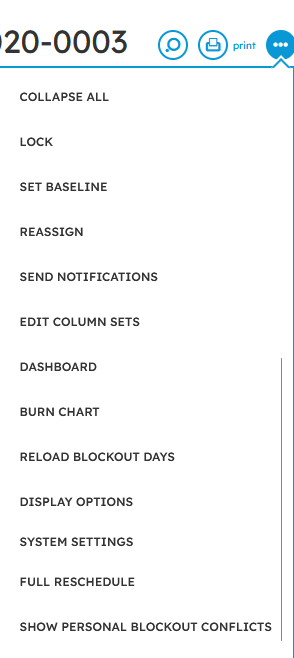 ProjSched_more.png